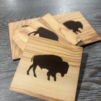 Buffalo Coasters